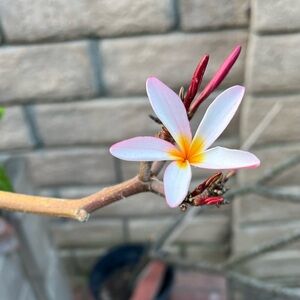 Bundle 5 items for $20 with those items listed 5 for $20!!